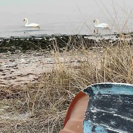 Hyggeligt Lille Sommerhus Taet Ved Strand Skovmose